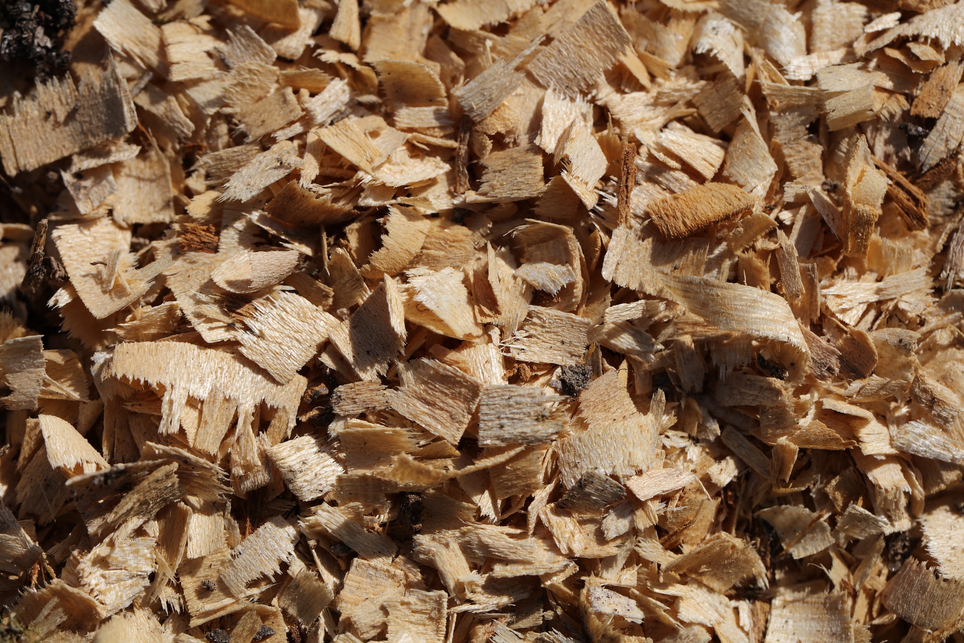 Wood Chip Recommendations